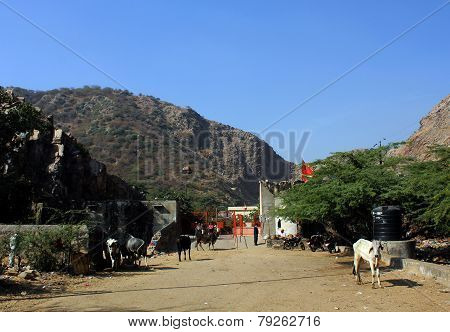 Arriving In Galta Temple