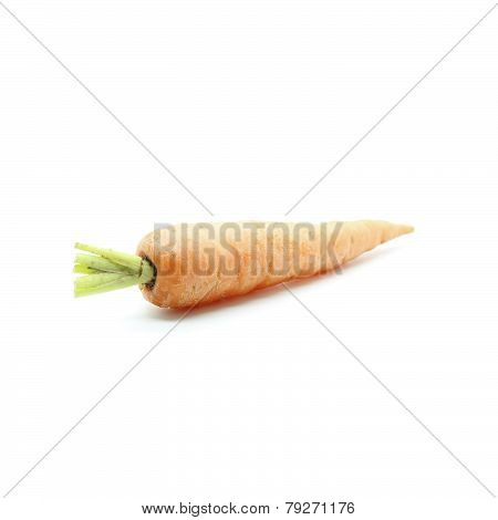 Single Baby Carot On White Background
