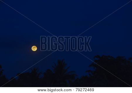 Moon