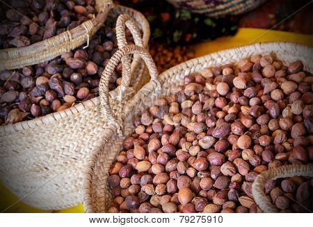 Argan Seeds