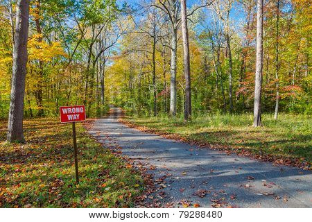 Wrong Way Traffic Sign In Autumn Park