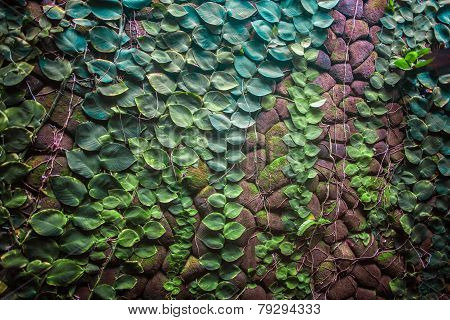Green stone wall