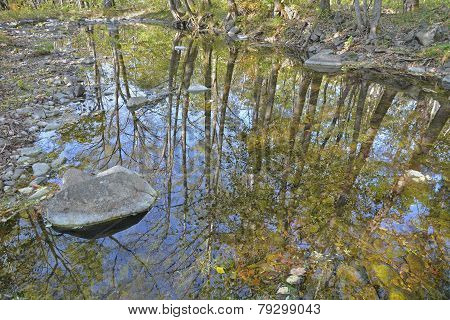 Reflection On River