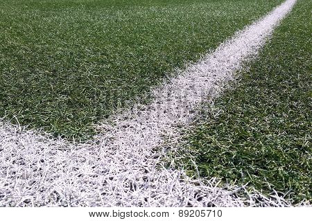 Grass