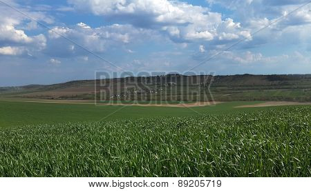 Landscape