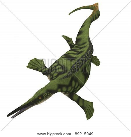 Hepehsuchus Over White
