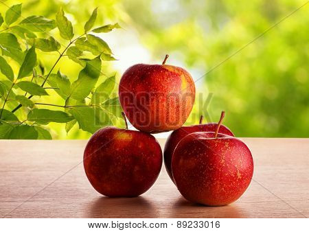 Green Leaf Background
