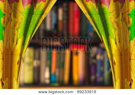 Bookshelf -background