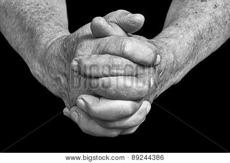 Senior Hands