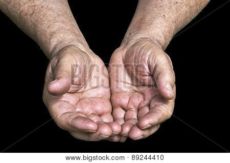 Senior Hands