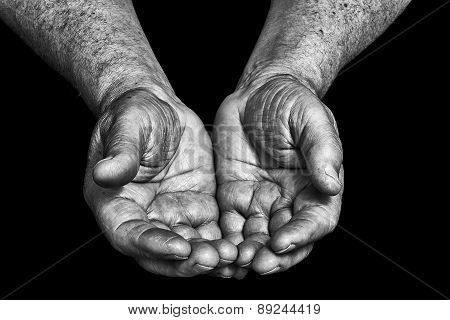 Senior Hands