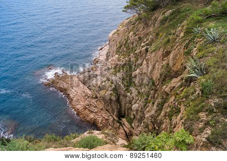 the edge of the rocky