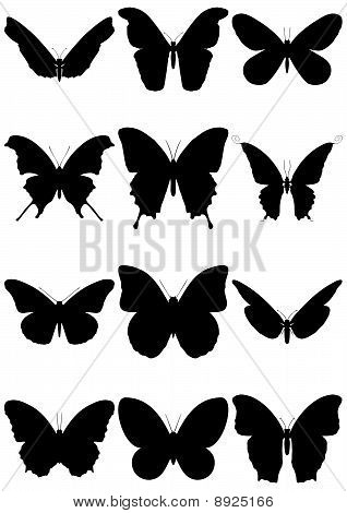 Ilustración de Vector conjunto de 12 siluetas de mariposa.