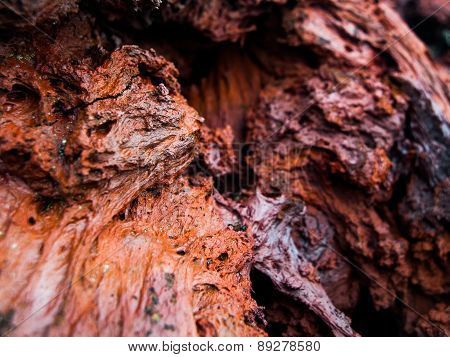 Solid lava