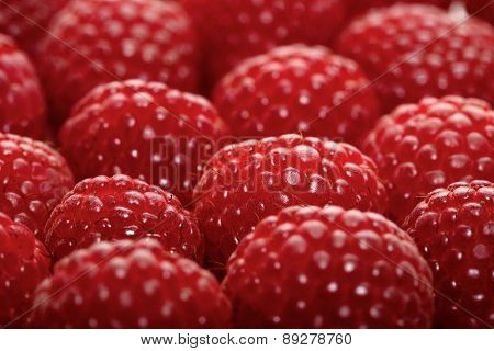 Raspberries backbround - close-up