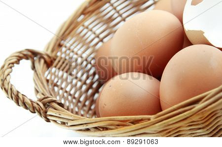 egg
