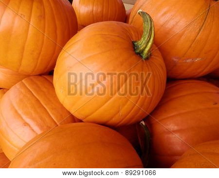 pumpkin