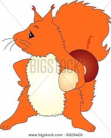 squirrel vector