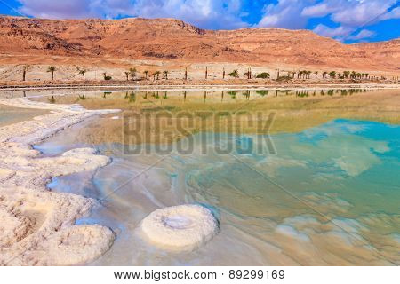 Evaporated salt out of the water with beautiful patterns. Lowering the water level in the Dead Sea