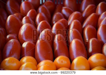 Plum Tomatoes in a Market