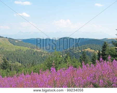Landscape In The Low Tatras