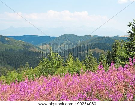 Landscape In The Low Tatras