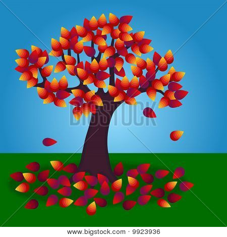 Autumn Tree
