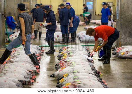 TOKYO, JAPAN - AUGUST 1, 2015: Prospective buyers inspect tuna displayed at Tsukiji Market. Tsukiji is considered the world's largest fish market.