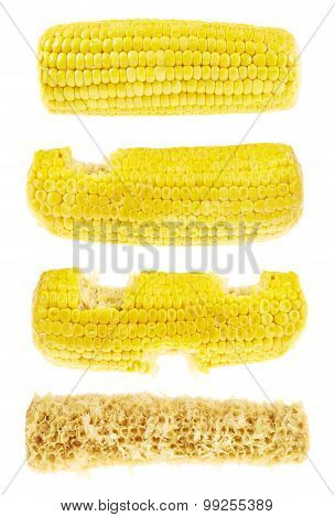 Process of eating cornstick isolated