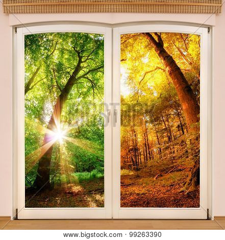 Magic Window Showing Season Change