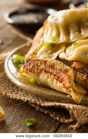Homemade Asian Pork Potstickers