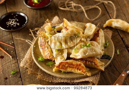 Homemade Asian Pork Potstickers