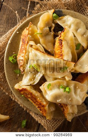 Homemade Asian Pork Potstickers