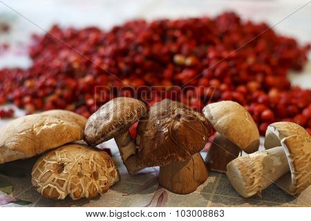 mushrooms and strawberries