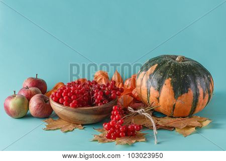 Fall Harvest On Aquamarine Shadowless Background