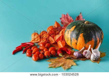 Colored Pumpkin Shadowless Background