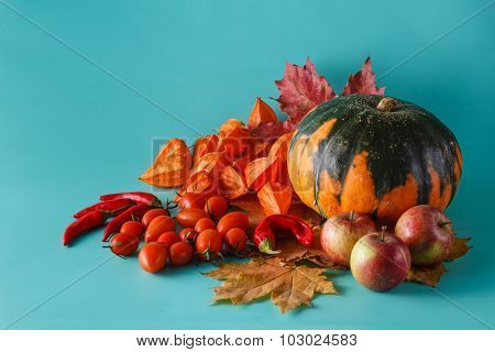 Colored Pumpkin Shadowless Background