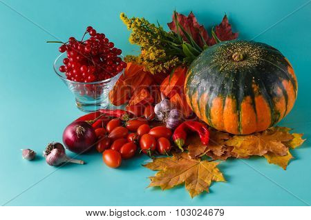 Colored Pumpkin And Viburnum On Aquamarine Shadowless Background