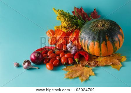 Colored Pumpkin And Fall Harvest