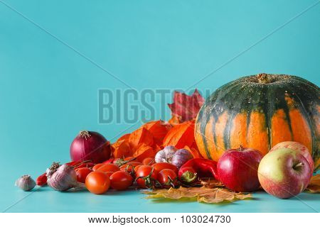 Colored Pumpkin And Fall Harvest