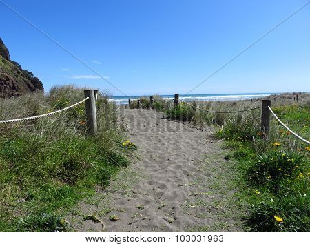 Follow the path!