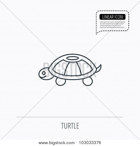 Turtle icon. Tortoise sign.