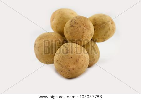 Longong Isolated On White Background