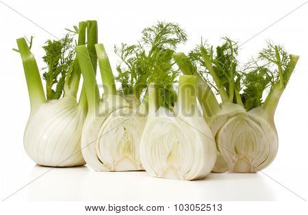 Fresh fennel bulb isolated on white background close up