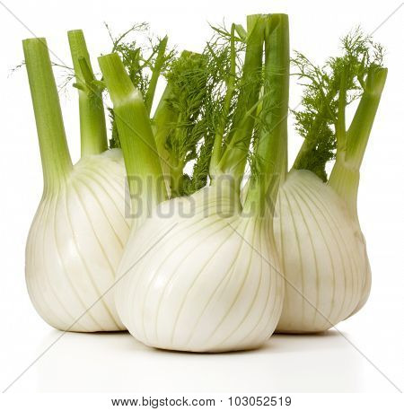 Fresh fennel bulb isolated on white background close up