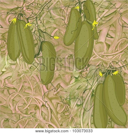 Illustration of seamless pattern cucumbers