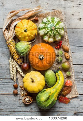 Autumn Background With Pumpkins