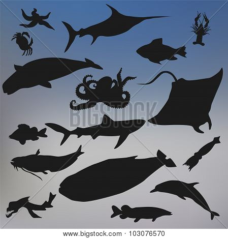 Set Of Fish Silhouette Icon On The Blurred Background. Stock Vector