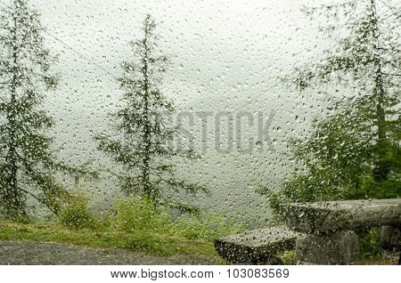 raindrops on car window in forest and  bench