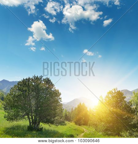 Beautiful sunrise in the mountains